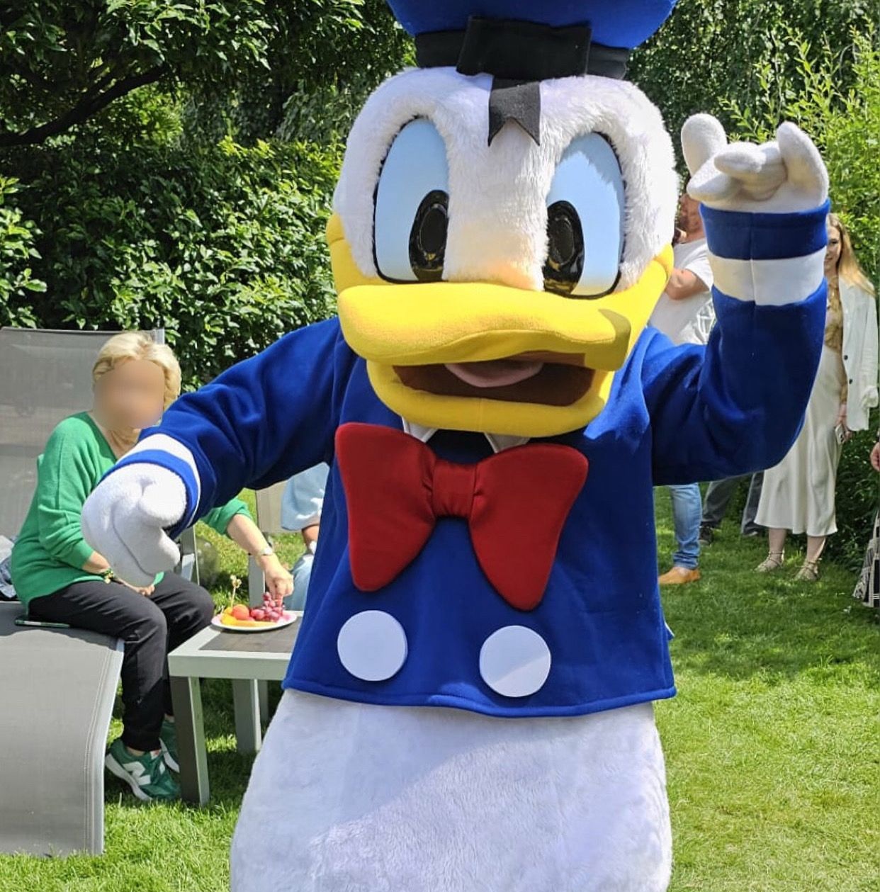 Donald Duck 