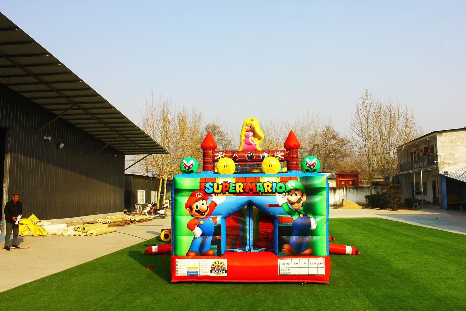 Château Mario
